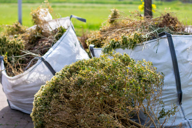 Best Mattress Removal Service  in Verona Walk, FL